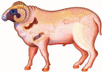 Aries the Ram by Jane Tattersfield