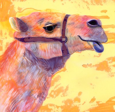 Camel by Jane Tattersfield