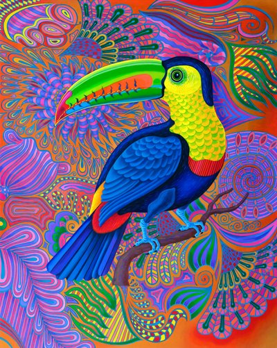 Toucan by Jane Tattersfield