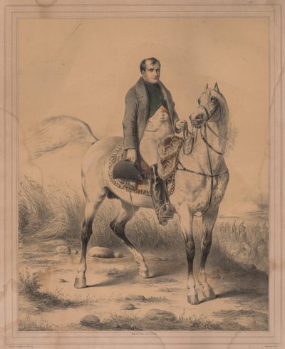 Napoleon by Janet Lange