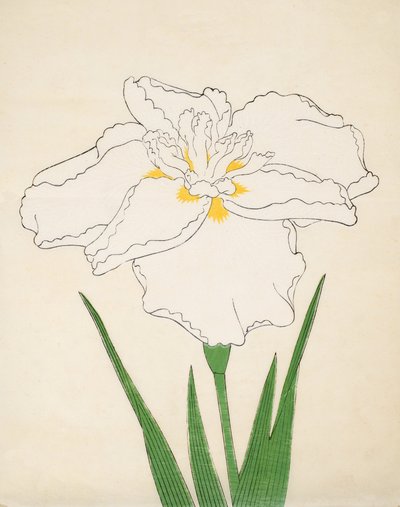 Bandai-No-Nami, No 1 by Japanese School