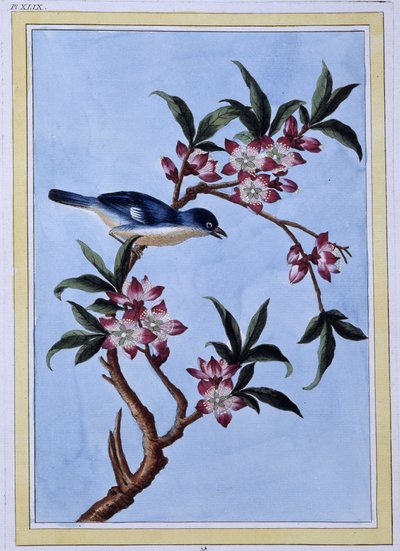 Bird - Japanese print by Japanese School