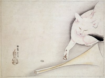 Cat by Japanese School