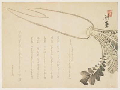 Daikon Radish, January 1864 by Japanese School