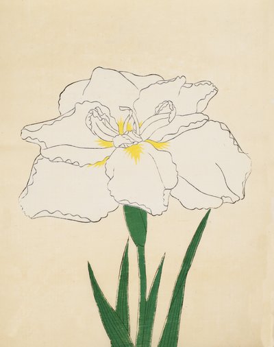 Haku-O-Den, No. 40 by Japanese School