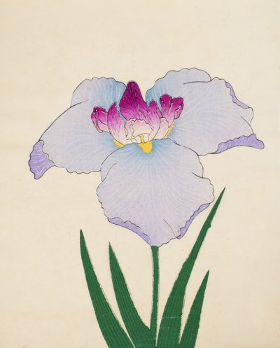 Hoshi-Zukiyo, no.45, 1898 by Japanese School