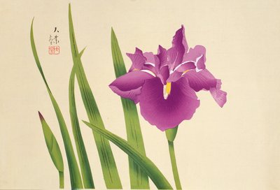 Irises by Japanese School