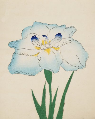 Issui-No-Gin, No. 34 by Japanese School