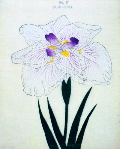Izumi-Gawa, no.37, 1898 by Japanese School