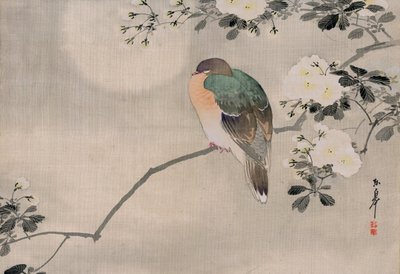Japanese Silk Painting of a Wood Pigeon by Japanese School