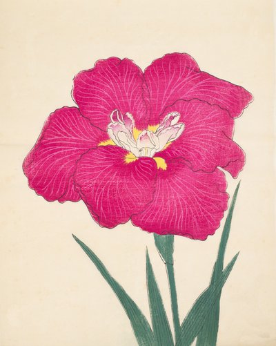 Kagari-Bi, No. 38, 1890 by Japanese School