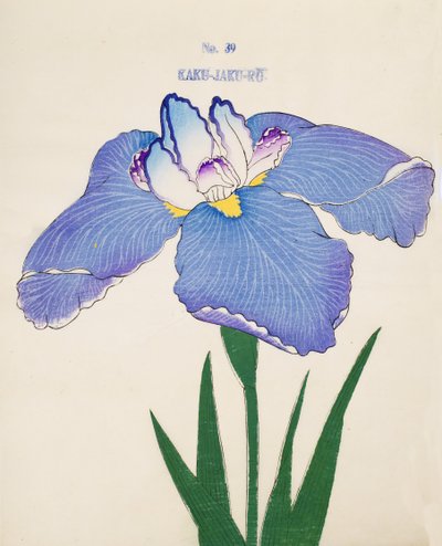 Kaku-Jaku-Ro, no.39, 1898 by Japanese School