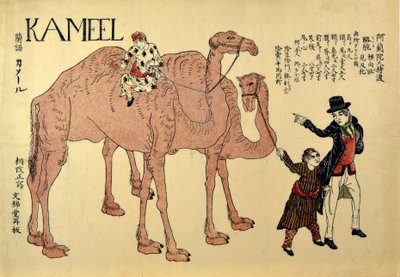 Kameel, 1821 by Japanese School