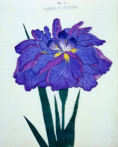 Kamiyo-no-Mukashi, no.16, 1898 by Japanese School