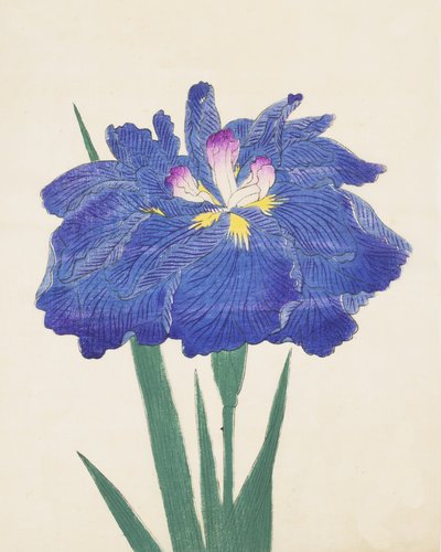 Karako-Asobi, no.42, 1898 by Japanese School