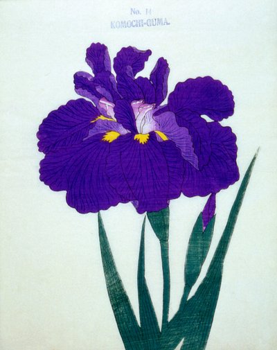 Komochi-Guma no.14, 1898 by Japanese School