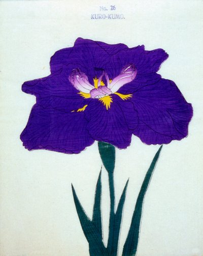 Kuro-Kumo, no.26, 1898 by Japanese School