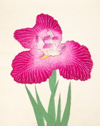 Kyo-Kano.ko, no.24, 1898 by Japanese School