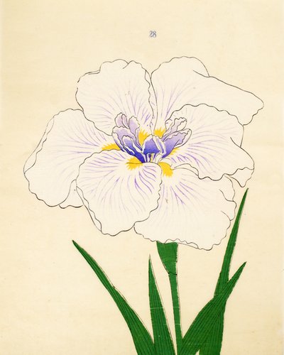 Manu-Zuru, No. 28, 1890 by Japanese School
