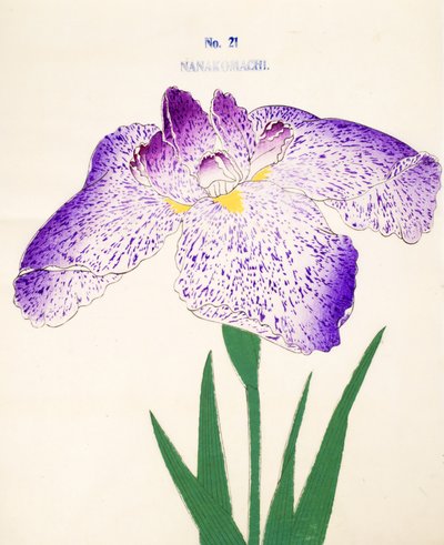 Nanakomachi, no.21, 1898 by Japanese School