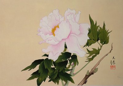Peony, pub. 1950 by Japanese School