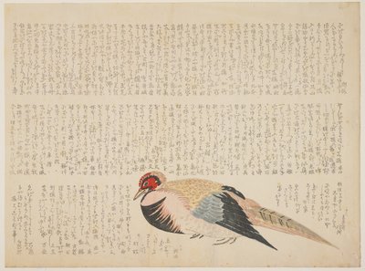 Pheasant, c.1818-29 by Japanese School