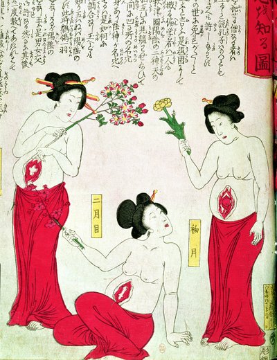 Pregnant Women by Japanese School