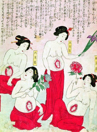 Pregnant Women by Japanese School