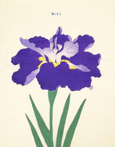 Saiwoga-Uma, No. 53 by Japanese School
