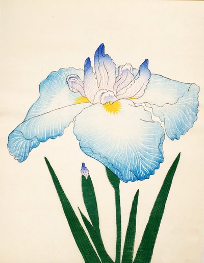 Sazanami, No. 68 by Japanese School