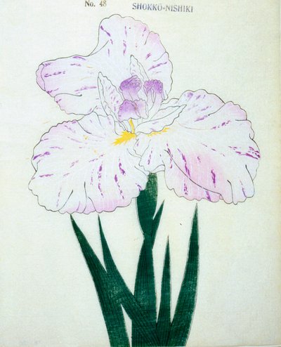 Shokko-Nishiki, no.48, 1898 by Japanese School