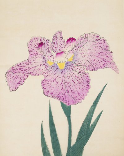 Tanka-No-Koe, No. 15 by Japanese School