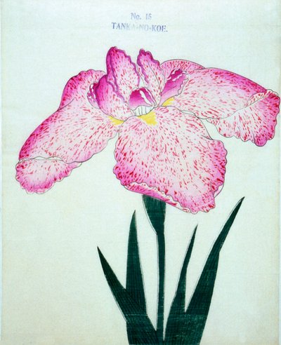 Tanka-no-Koe, no.15, 1898 by Japanese School