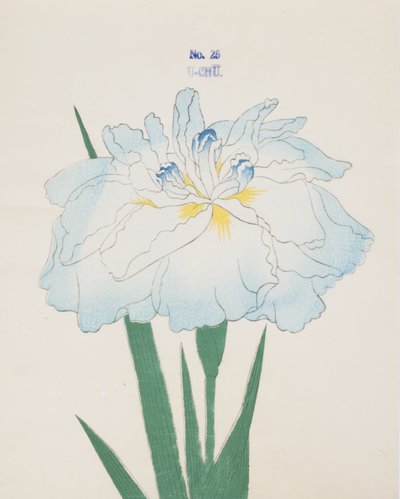 U-Chu, no.25, 1898 by Japanese School