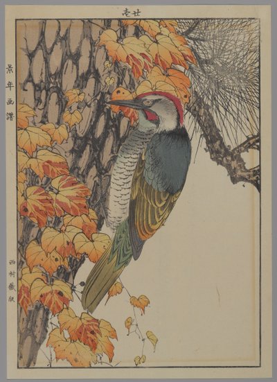 Woodpecker, 1892 by Japanese School