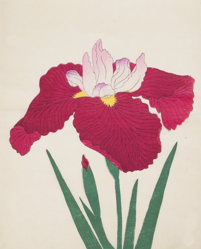 Yamamatayama, No. 83, 1890 by Japanese School