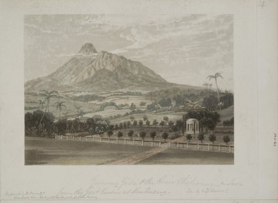 Garden at Buitenzorg by Javanese School