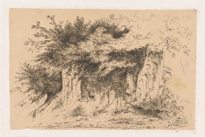 Bushes on an Earthen Wall by Jean Alexis Achard