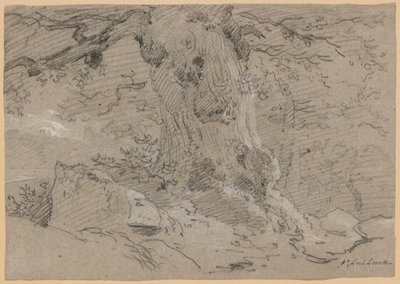 Study of Old Tree Trunk by Jean Antoine Linck