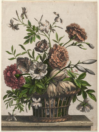 Marigolds, Single Anemone, Jasmine by Jean Baptiste I Monnoyer