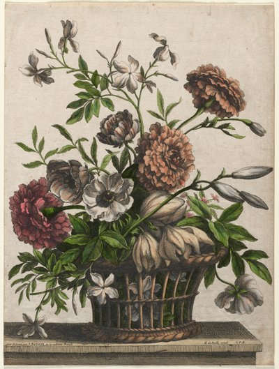 Marigolds, single Anemone, Jasmine by Jean Baptiste Monnoyer I