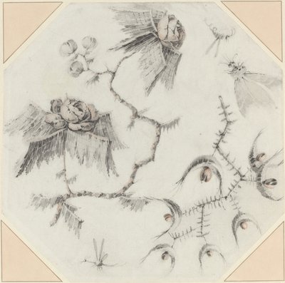 Fanciful Flowers and Bugs by Jean Baptiste Pillement