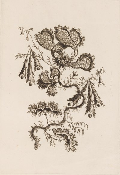 Flower Branch, from Fleures Persannes by Jean Baptiste Pillement