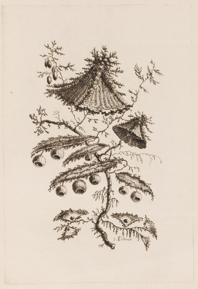 Flower Branch, from 