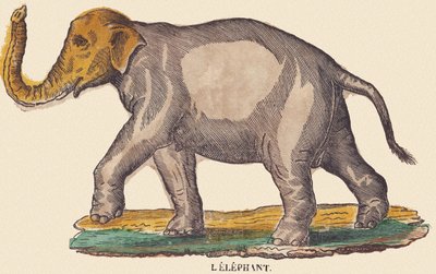 The Elephant, c.1840-1852 by Jean Baptiste Thiebault