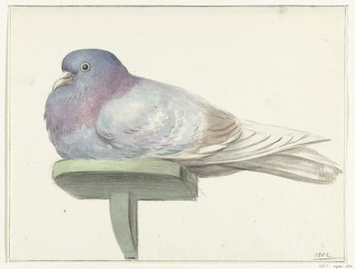 Dove Sitting on a Shelf by Jean Bernard
