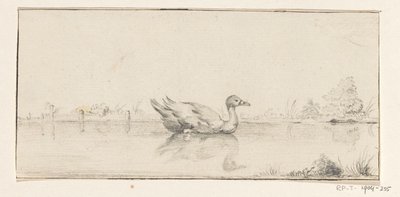 Duck in the Water by Jean Bernard