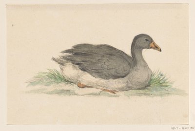 Duck, to the right by Jean Bernard