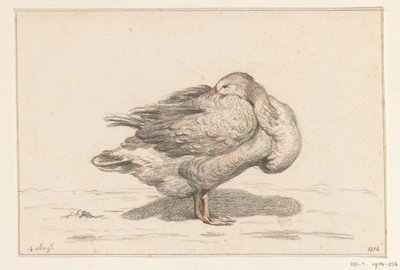Goose by Jean Bernard