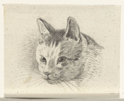 Head of a Cat by Jean Bernard